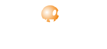 ozsumer.com